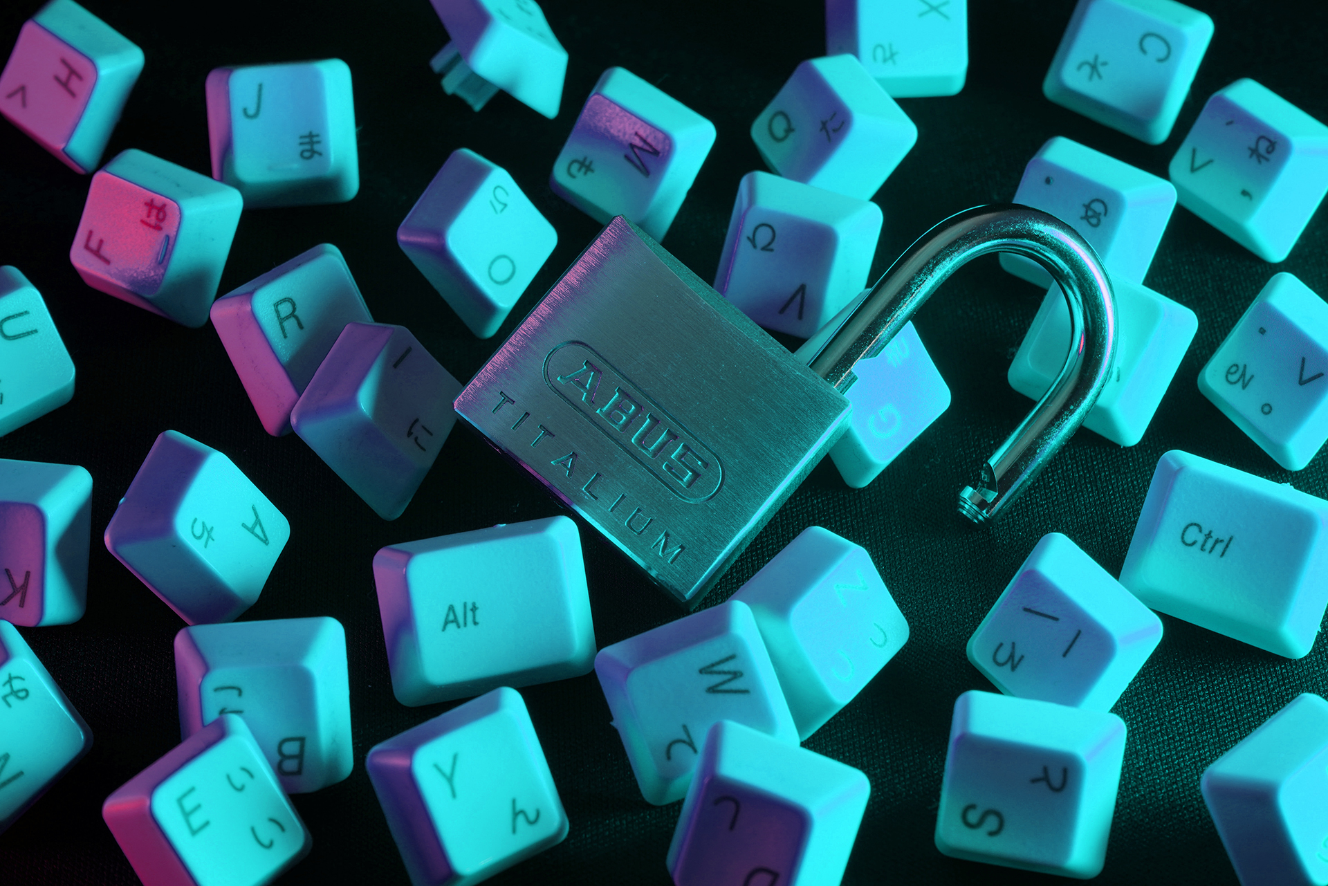 Data Privacy Day: why protecting your data matters | Dartmoon